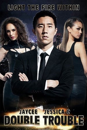Double Trouble (2012) Hindi Dual Audio [800MB]