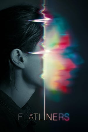 Flatliners (2017) Hindi Dual Audio – 480p