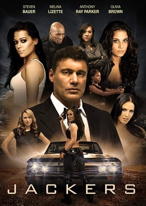 Jackers 2010 Dual Audio Hindi Movie - 800MB