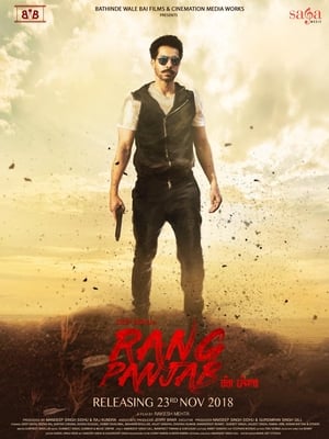 Rang Panjab (2018) Punjabi Movie Pre- [700MB] - Movierulz