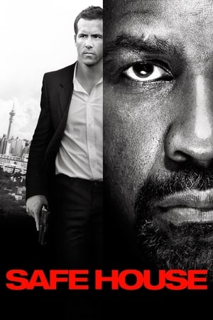Safe House (2012) Hindi Dual Audio [1GB]