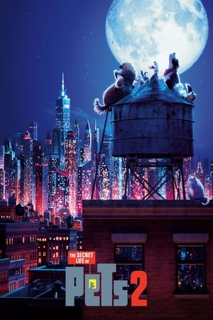 The Secret Life of Pets 2 (2019) Hindi (Original) Dual Audio [850MB] - Movierulz