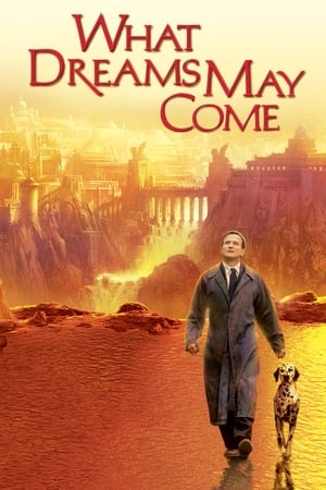 What Dreams May Come (1998) Dual Audio Hindi Full Movie - 900MB
